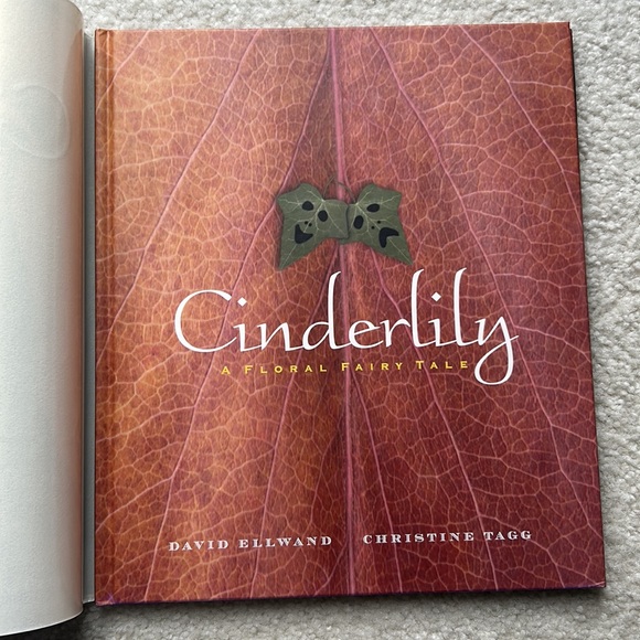 Book:  Cinderlily:  A Floral Fairy Tale - Picture 3 of 12
